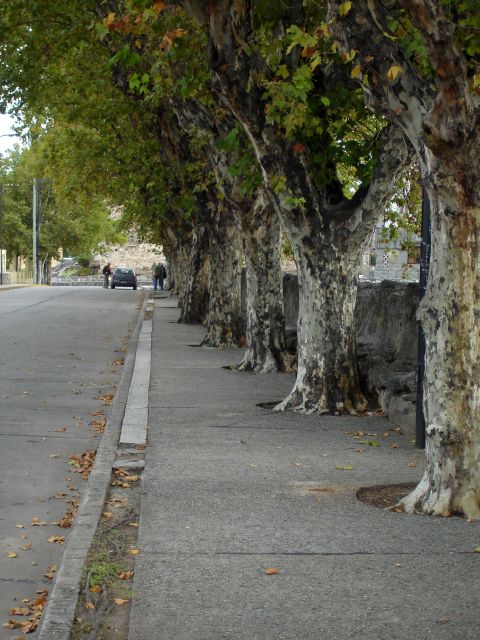 alta_gracia_street.jpg