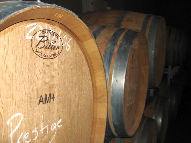 bodega_carinae_oak_barrels.jpg