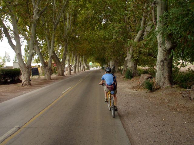 riding_through_wine_country2.jpg