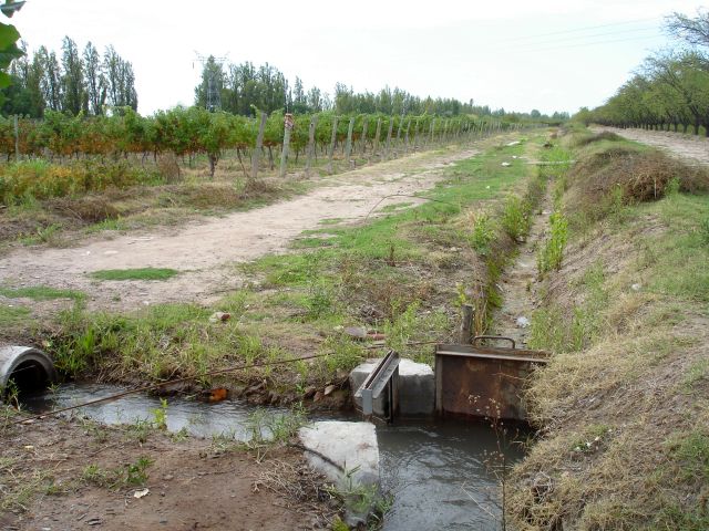 vineyard_irrigation.jpg