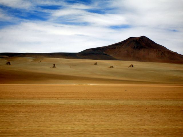 desolate_beauty.jpg