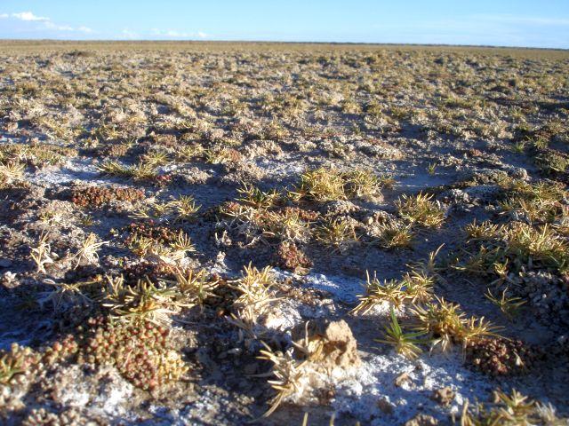 salty_ground.jpg