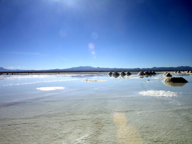 salar_underwater.jpg