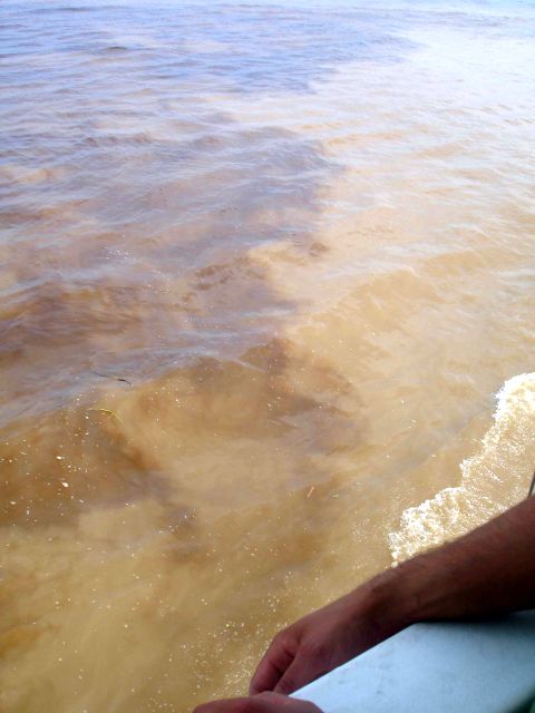 meeting of the waters