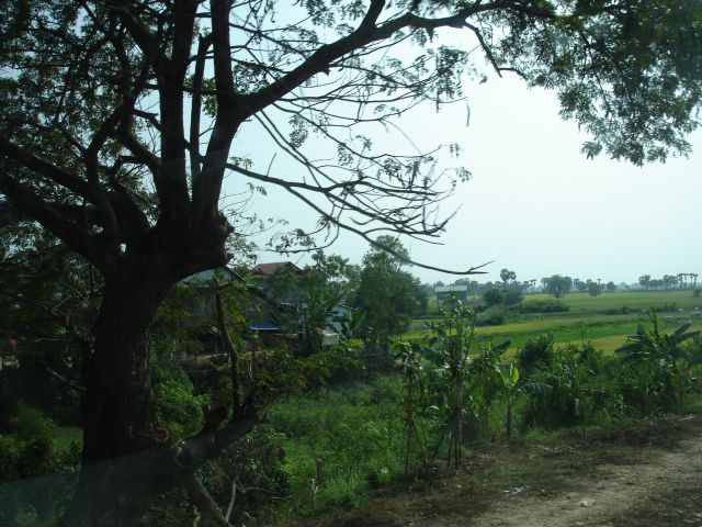 cambodia countryside3