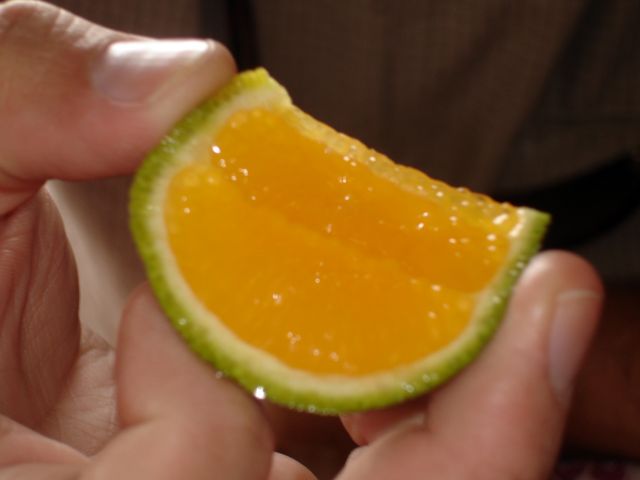 green_orange.jpg