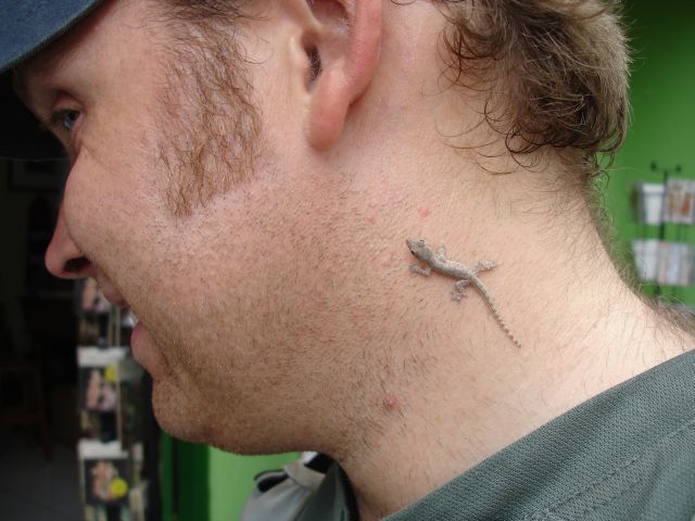 hitchhiker.jpg