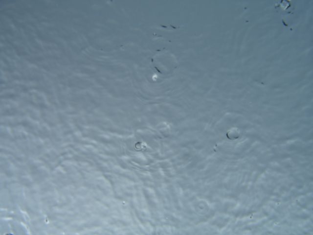 raindrops