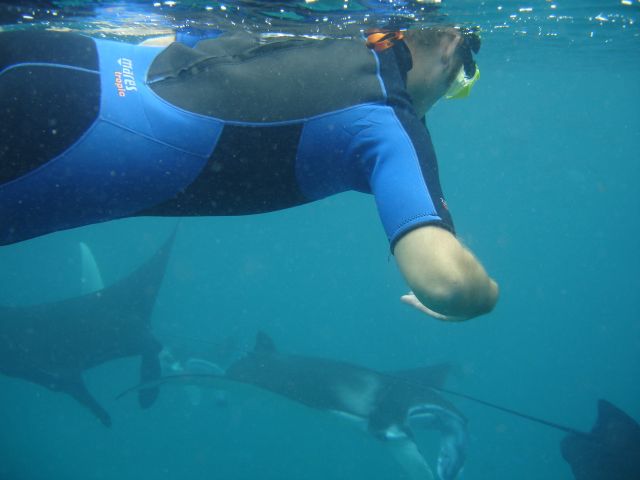 steve and mantas