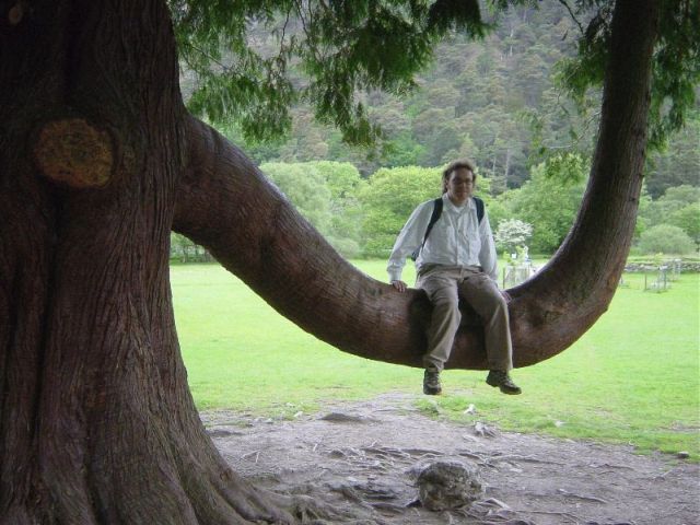 res_steve_swing_tree_2.jpg