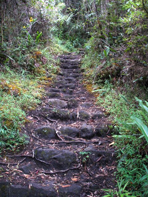 back_side_stairs.jpg