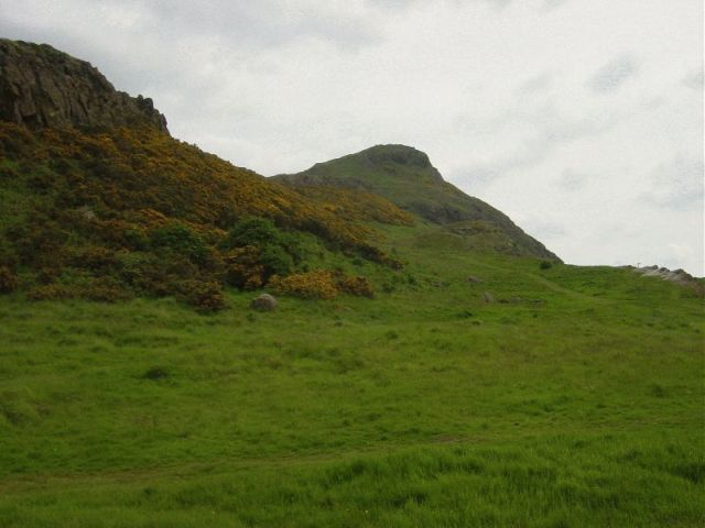 res_hillside_of_gorse.jpg