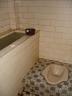 VIP bathroom